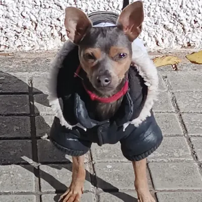 Otra foto de Bruno