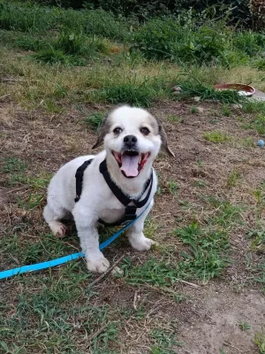 Otra foto de Chispo