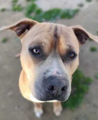 Otra foto de Zeus