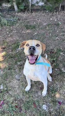 Otra foto de Tyson