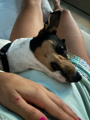 Otra foto de Chiqui