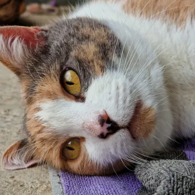 Otra foto de Pia