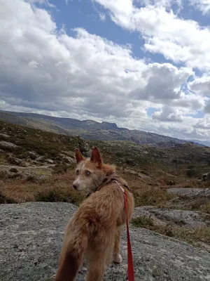 Otra foto de Halo