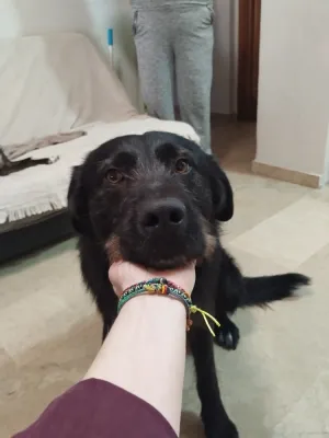 Otra foto de Blacky