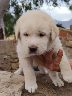 TERRA, foto 3 de 5