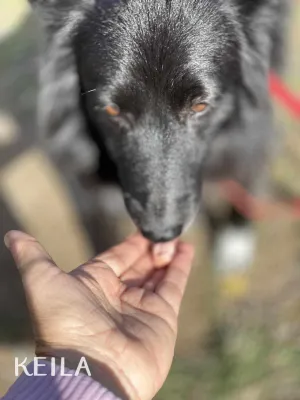 Otra foto de Keila
