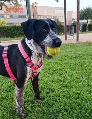 Otra foto de Frida