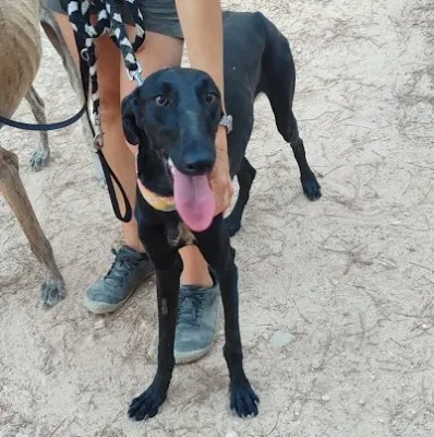 Otra foto de Zaniah
