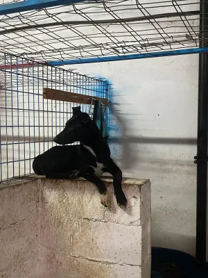 Otra foto de Cuki