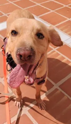 Otra foto de Poppy