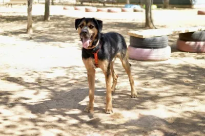 Otra foto de Calleja