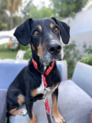 Otra foto de Drogo