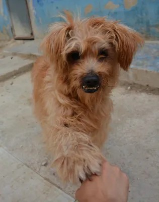 Otra foto de Messi
