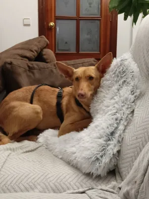 Otra foto de Carol