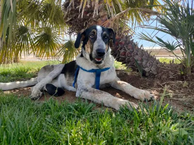 Otra foto de Petra