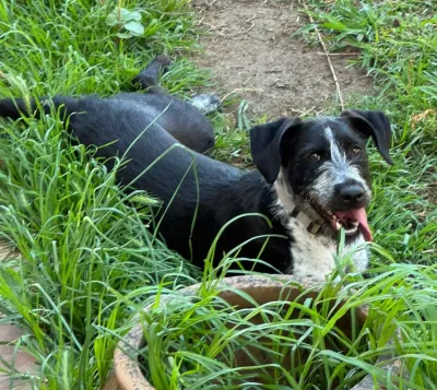 Otra foto de Frida