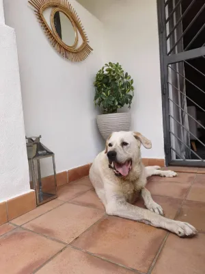 Otra foto de Balam