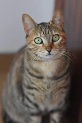 Otra foto de Selene