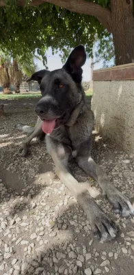 Otra foto de Turco