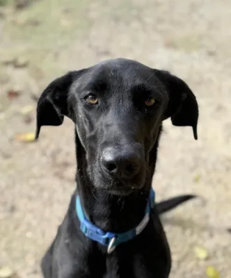 Otra foto de Duko