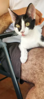 Otra foto de Hiru