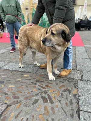 Otra foto de Esterodo