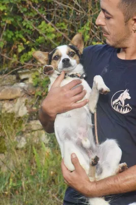 Otra foto de Rasti