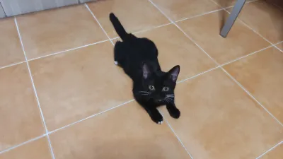 Otra foto de Calíope