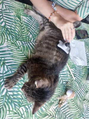 Otra foto de Odin