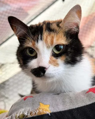 Otra foto de Celeste