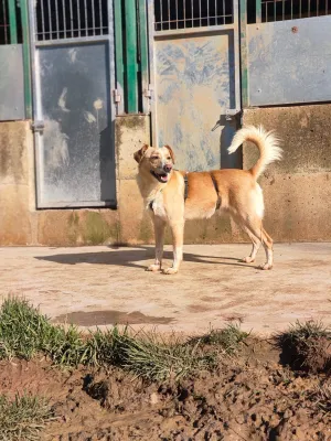 Otra foto de Bart