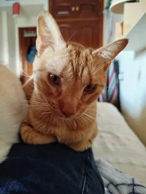 Otra foto de Bastián