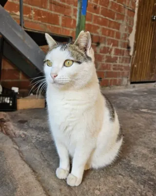 Otra foto de Julieta