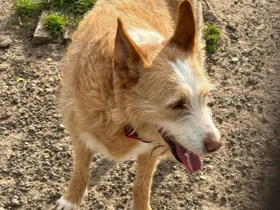 Hera, foto 3 de 3