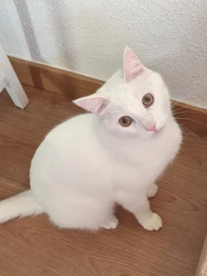 Otra foto de Mojito