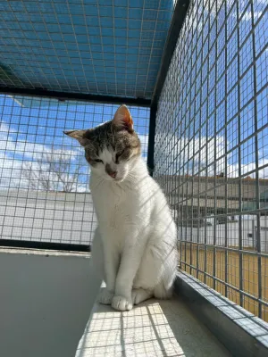 Otra foto de Nina