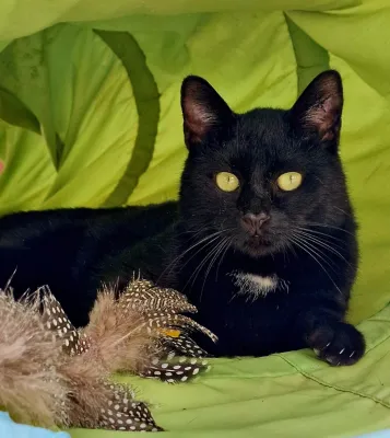Otra foto de Ekko