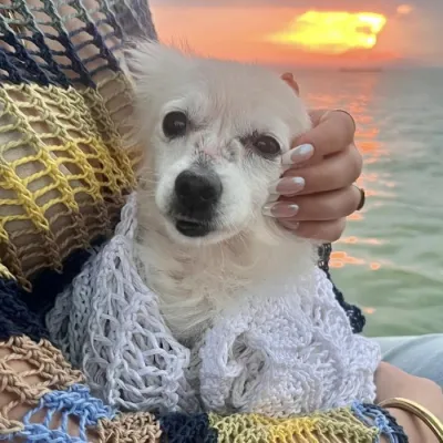 Otra foto de Coco