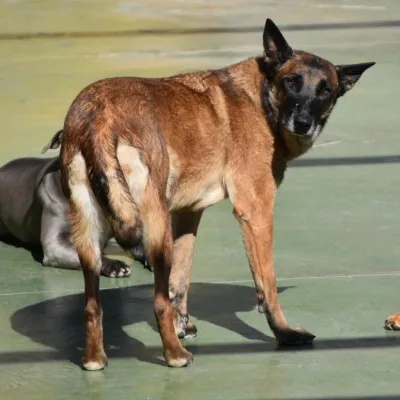 Otra foto de Raku