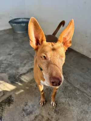 Otra foto de Lagoh