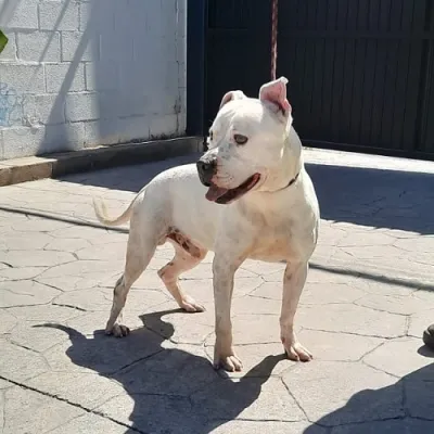Otra foto de Mustafá