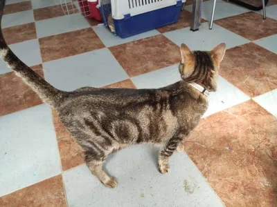 Otra foto de Aron