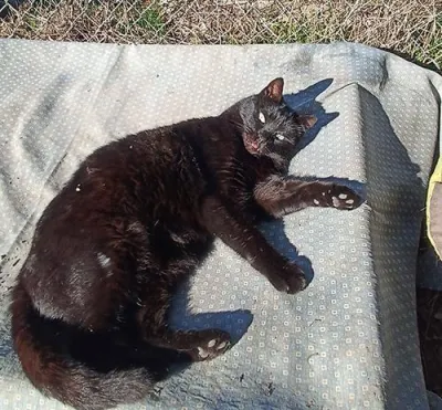 Otra foto de Solange