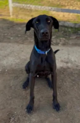 Otra foto de Duko