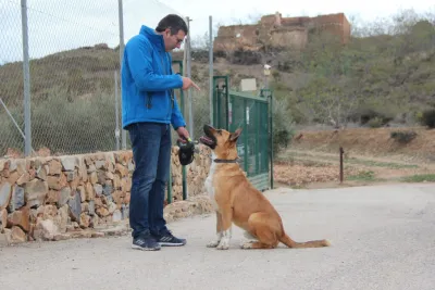 Otra foto de Tysson