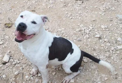 Otra foto de Aquiles