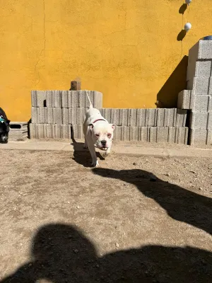 Otra foto de Darko