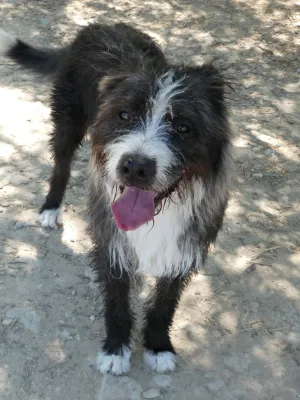 Otra foto de Okili