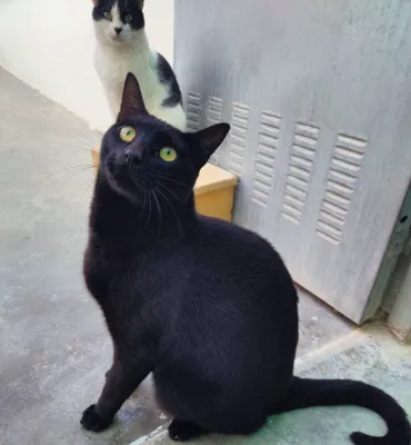 Otra foto de Dante