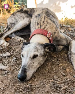 Otra foto de Zara